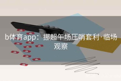 b体育app：挪超午场压哨套利·临场观察
