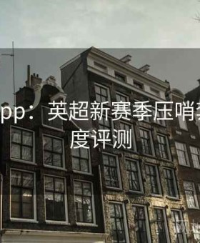 b体育app：英超新赛季压哨套利·深度评测