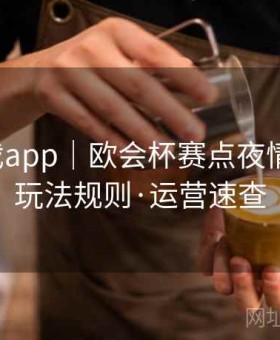 爱游戏app｜欧会杯赛点夜情报站：玩法规则·运营速查