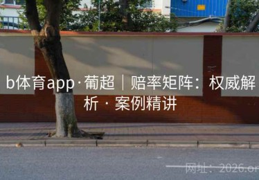 b体育app·葡超｜赔率矩阵：权威解析 · 案例精讲