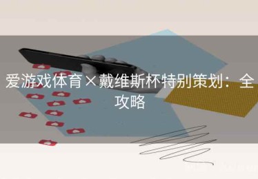 爱游戏体育×戴维斯杯特别策划：全攻略