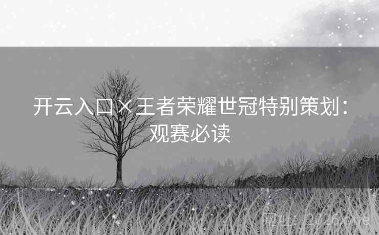 开云入口×王者荣耀世冠特别策划:观赛必读 开云入口×王者荣耀世冠特别策划:观赛必读