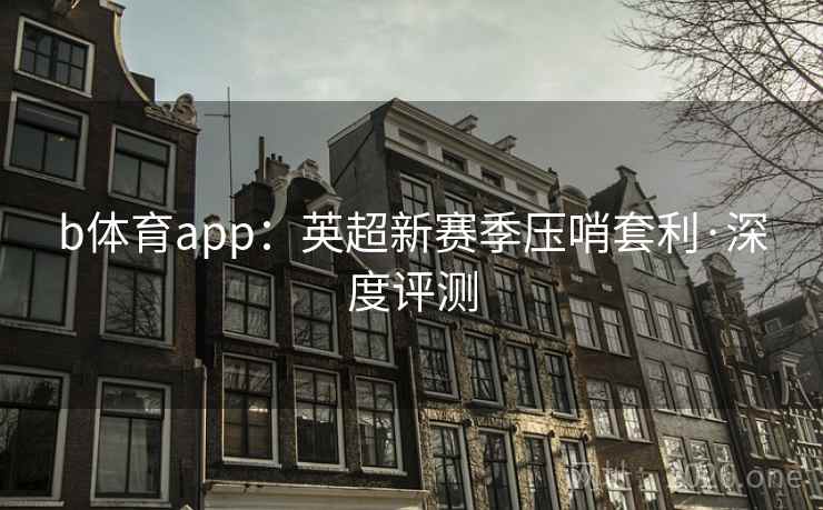 b体育app:英超新赛季压哨套利·深度评测 b体育app:英超新赛季压哨套利·深度评测